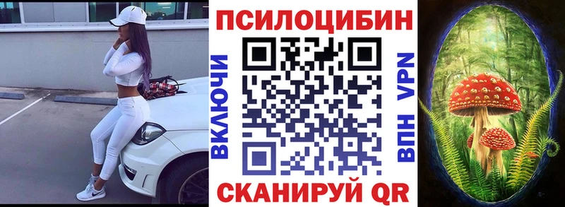 Купить  Нерюнгри  Галлюциногенные грибы Psilocybe 