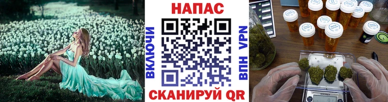 Купить где  Нерюнгри  Бошки марихуана SATIVA & INDICA 